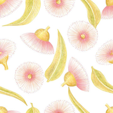 Custom Fabric 'Gum Blossom Pink' by Amanda Laing