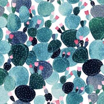 Custom Fabric 'Cactus Rosettes' by Booboo Collective by Daniela Casadio