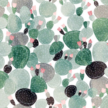 Custom Fabric 'Cactus Rosettes Olive' by Booboo Collective by Daniela Casadio