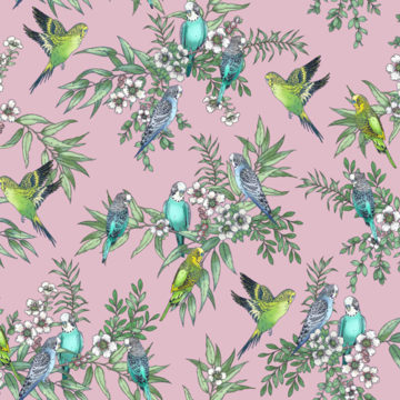 Custom Fabric 'Budgerigar Repeat Block Pink' by Eloise Short Design