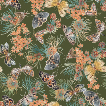 Custom Fabric 'Moths of Australia Olive' by Eloise Short Design