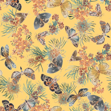 Custom Fabric 'Moths of Australia Yellow' by Eloise Short Design