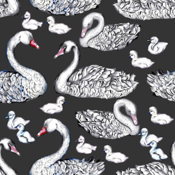 Custom Fabric 'Black Swan' by Eugenia Tsimiklis