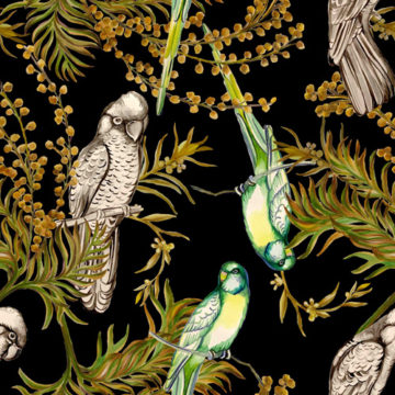 Custom Fabric 'Native Birds Black' by Eugenia Tsimiklis
