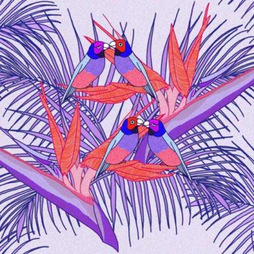 Custom Fabric 'Birds of Paradise Fuchsia' by Megan Isabella