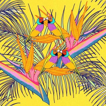 Custom Fabric 'Birds of Paradise Yellow' by Megan Isabella