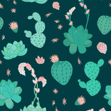 Custom Fabric 'Succulent Pattern on Teal' by Fancy Lady Industries