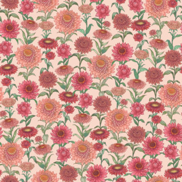 Custom Fabric 'Paper Daisies Peach' by Eloise Short Design