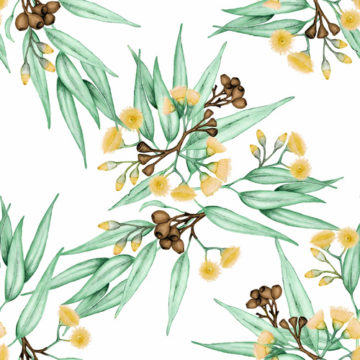 Custom Fabric 'Eucalyptus Gumnuts Yellow Blossoms 9inch' by Thistle and Fox