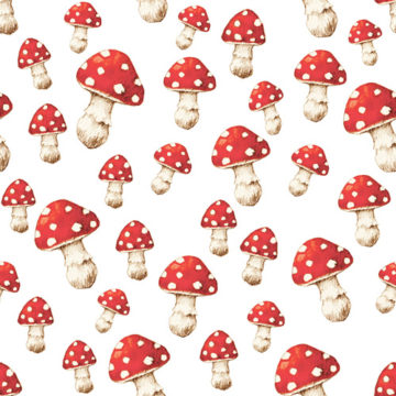 Custom Fabric 'Fox Mushrooms Rich Red' by Thistle and Fox