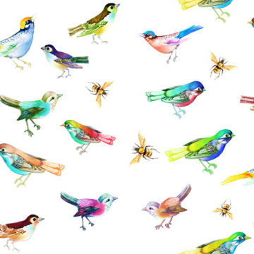 Custom Fabric 'Rainbow Songbirds Bees on White' by Thistle and Fox