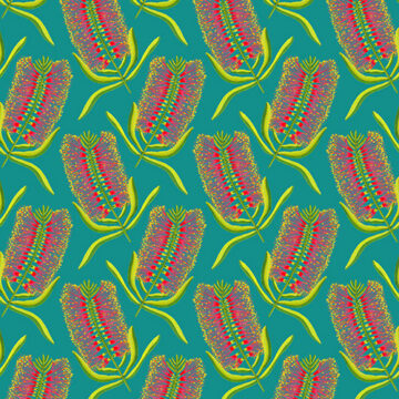 Vibrant Bottlebrush pattern on teal background.