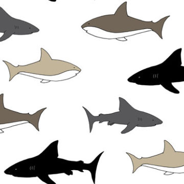 Custom Fabric 'Sharks' by Angie Hollister